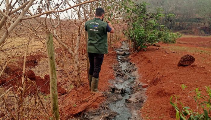  Suinocultor é multado em R$ 100 mil por infração ambiental em córrego de Toledo